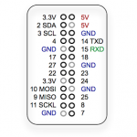 raspberry leaf r2